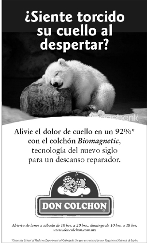 Colchonera - Prensa
