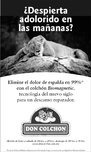Colchonera - Prensa