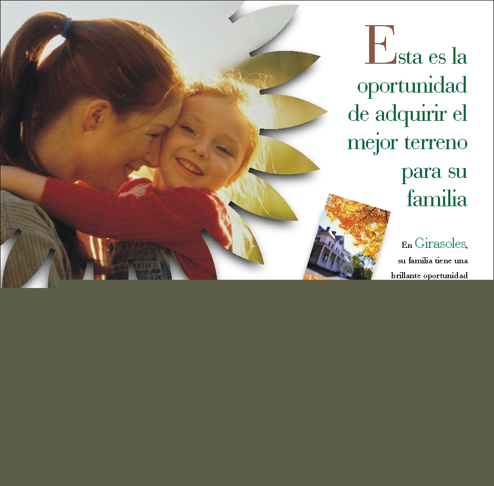 Inmobiliaria - Revista
