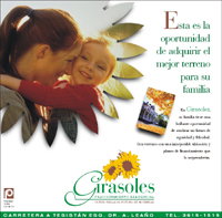 Inmobiliaria - Revista
